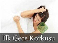 Ilk gece korkusu nasıl yenilir?