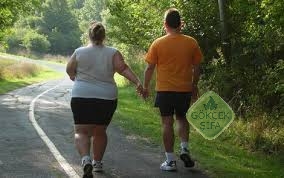 Obezite egzersizleri