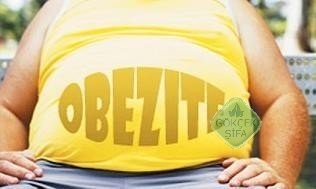 Obezite ve dengelenmiş gıda