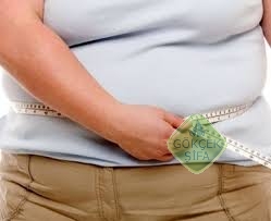 obezitenin-gebelige-etkisi