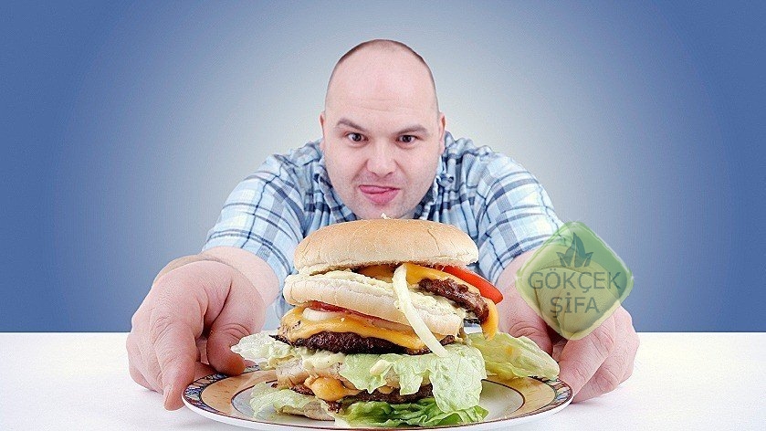 obeziteye-yol-acan-faktorler